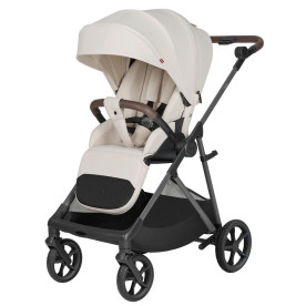 Прогулянкова коляска CARRELLO Costa CRL-5543 Cloud Grey /1/