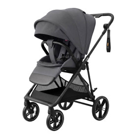 Прогулянкова коляска CARRELLO Extra CRL-6532 Chrome Grey /1/