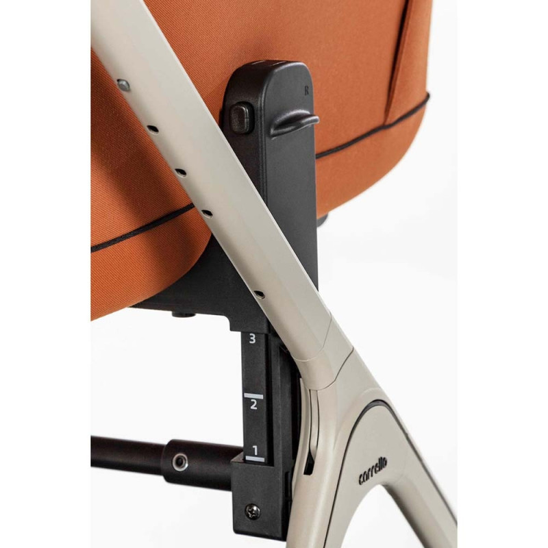 Універсальна коляска 2 в 1 CARRELLO Vector deep green