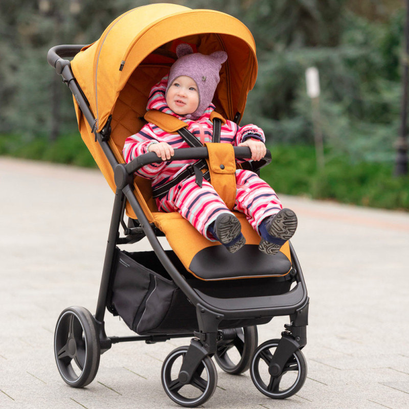 Прогулянкова коляска CARRELLO Bravo-2023 CRL-8512 Spring Green