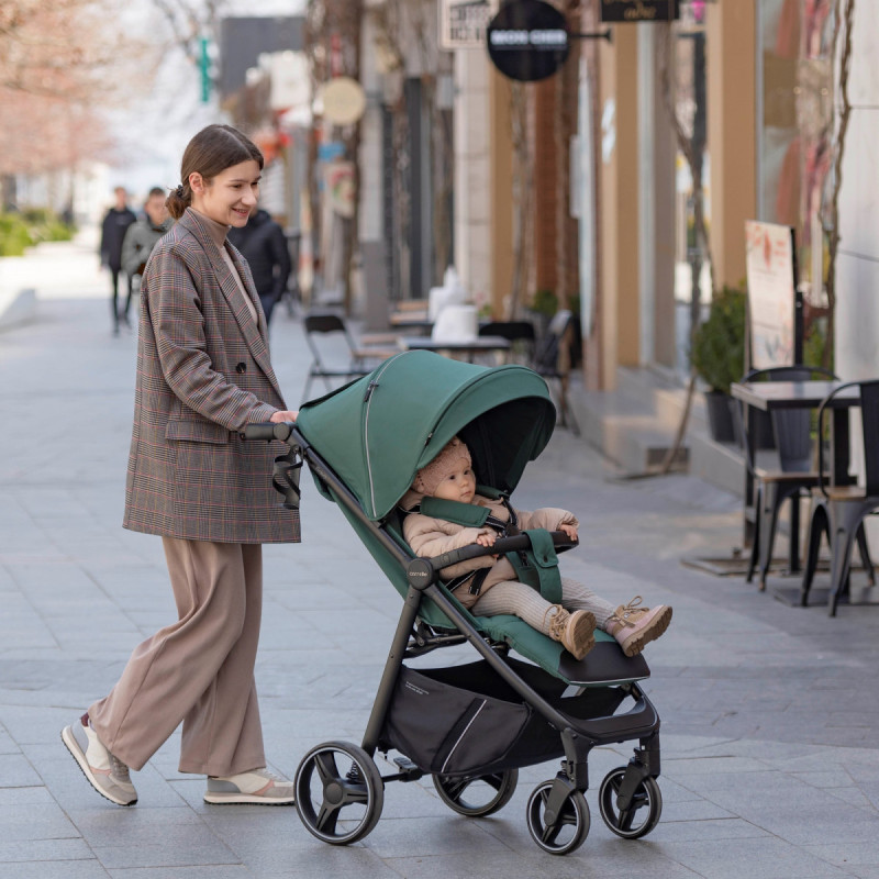 Прогулянкова коляска CARRELLO Bravo CRL-8512 BF Spring Green /1/