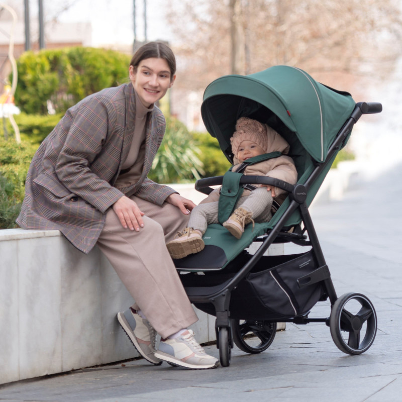 Прогулянкова коляска CARRELLO Bravo CRL-8512 BF Spring Green /1/