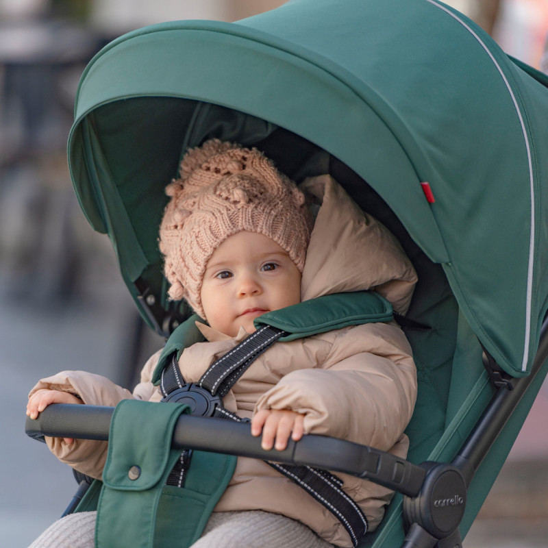 Прогулянкова коляска CARRELLO Bravo CRL-8512 BF Spring Green /1/