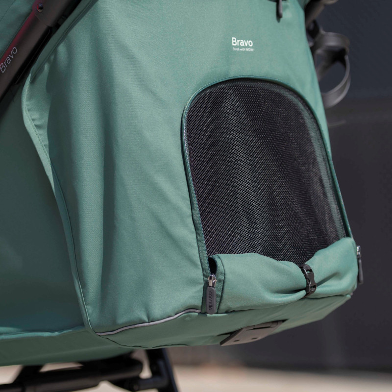 Прогулянкова коляска CARRELLO Bravo CRL-8512 BF Spring Green /1/