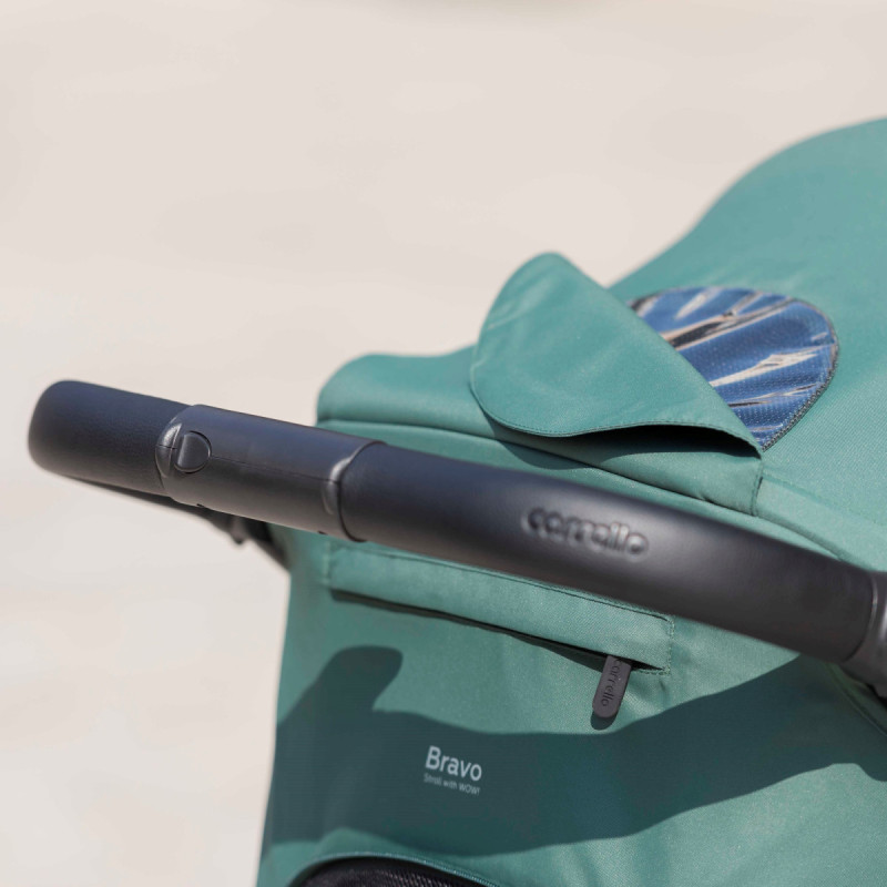 Прогулянкова коляска CARRELLO Bravo CRL-8512 BF Spring Green /1/