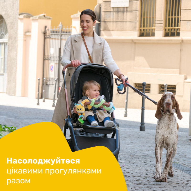 Брязкальце на коляску Chicco "Пані жирафа"