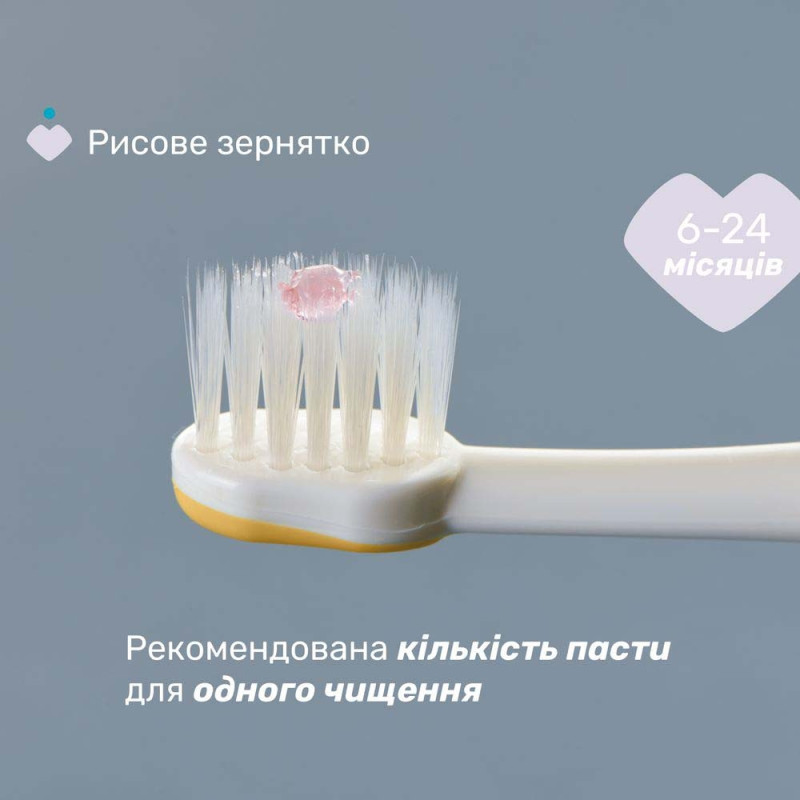 Зубна щітка Chicco для перших зубів , 6-36 міс., 2 шт жовта / рожева
