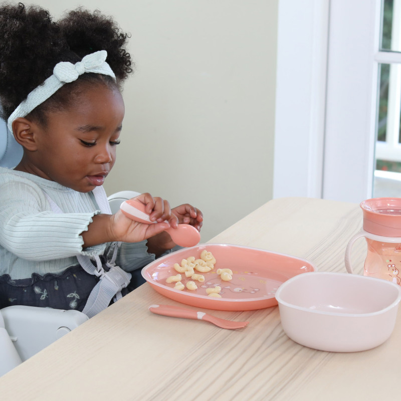 Набір тарілок Chicco Dish Set, 12м+, 2 шт. Рожевий
