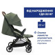 Прогулянкова коляска Chicco Goody XPlus Stroller колір 84