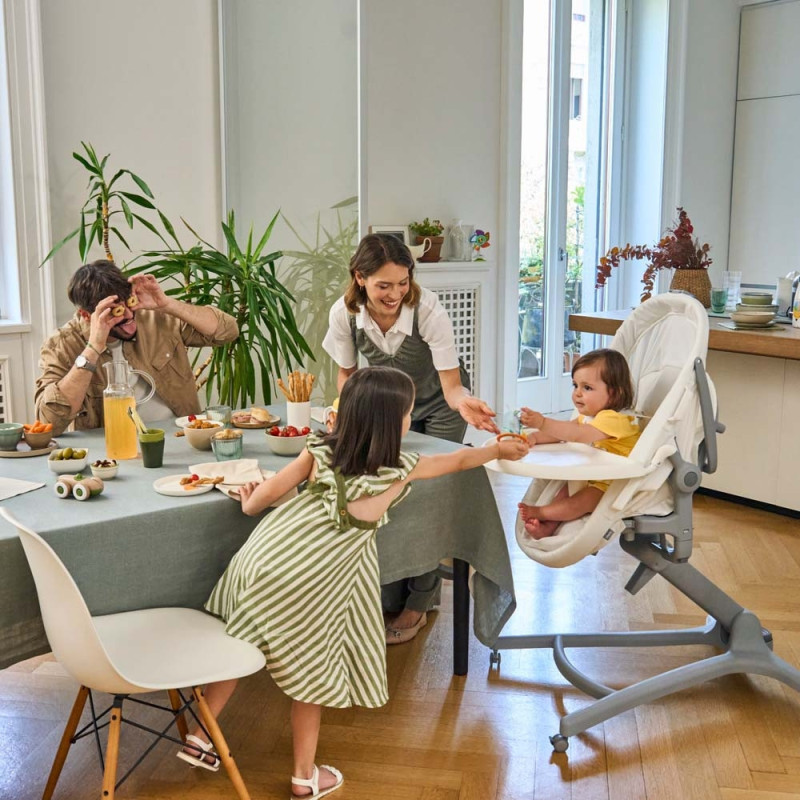 Ліжечко Chicco Колиска для новонародженого 5 в 1 Hug Pro колір 14