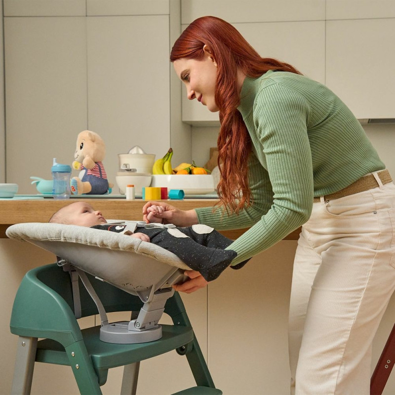 Стілець Chicco шезлонг Crescendo колір 47