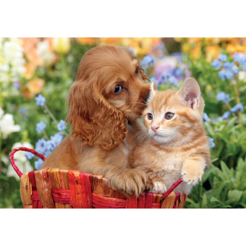 Пазл Clementoni Noli Cute Friends, серія MAXI, 104 елементи