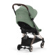 Прогулянкова коляска Cybex Coya Rosegold/Leaf Green