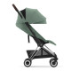 Прогулянкова коляска Cybex Coya Chrome Dark Brown/Leaf Green