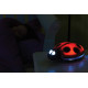 Нічник DreamBaby світильник LADY BUG