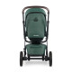 Універсальна коляска 2 в 1 Easywalker Jimmey FULL pine green