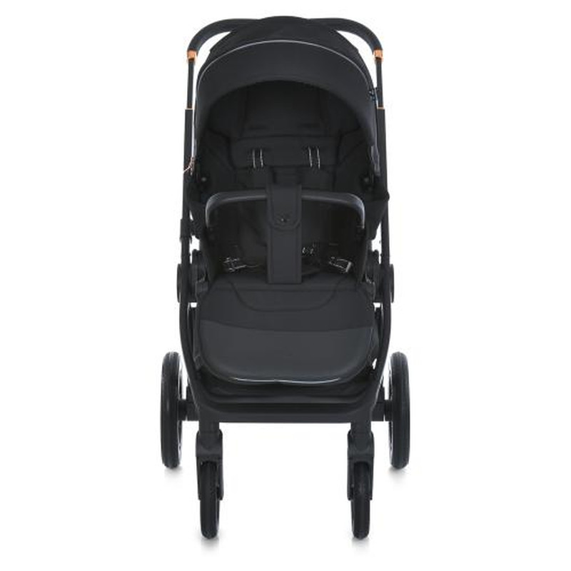 Коляска універсальна 2 в 1 El Camino ME 1100-1 ERA Black Ink