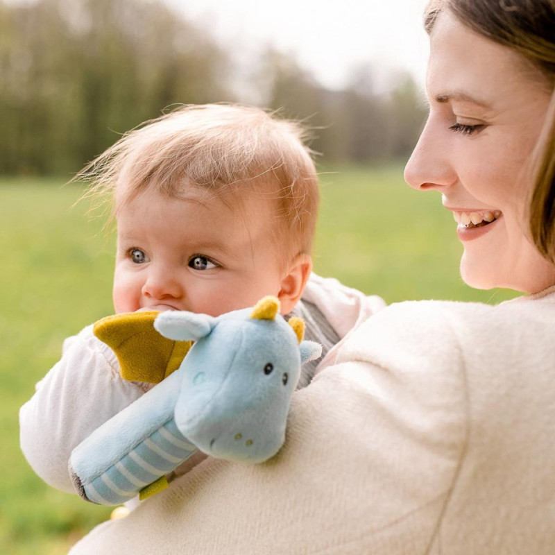 Брязкальце Fehn дракон