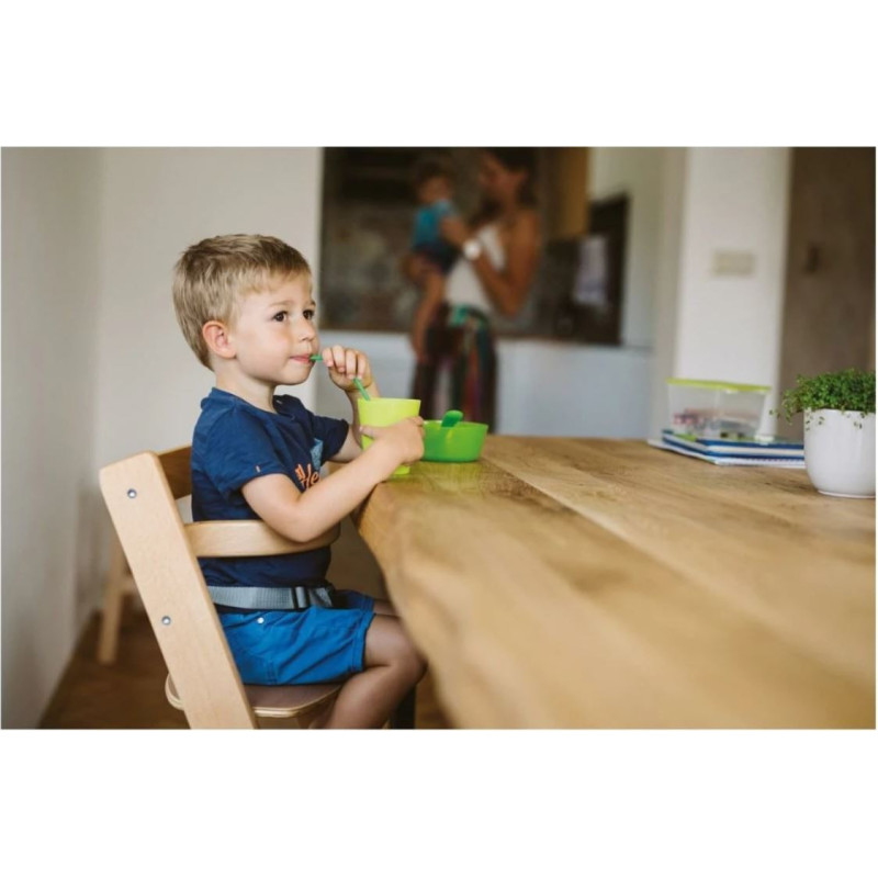 Стілець для годування дитини FreeON CHEF Natural