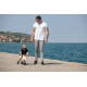 Біговел FreeON Free2Move 2в1 mint