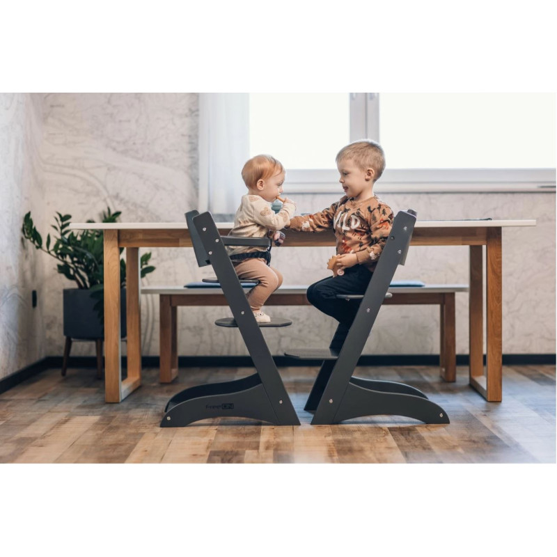 Стілець для годування дитини FreeON LUNCH Grey