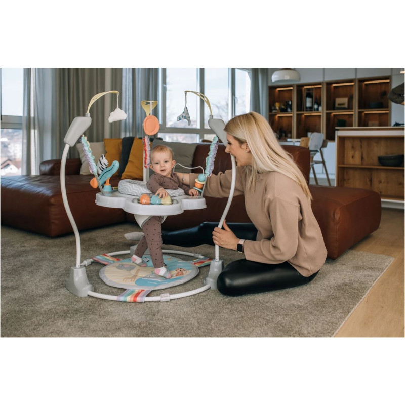 Ігровий центр для дитини FreeON Jumperoo