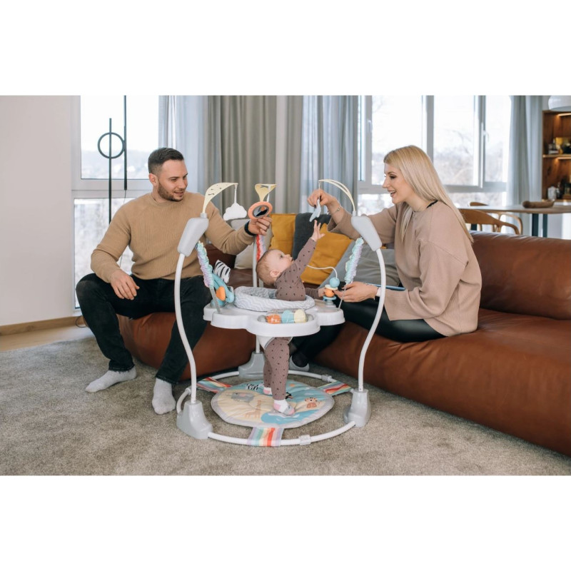 Ігровий центр для дитини FreeON Jumperoo