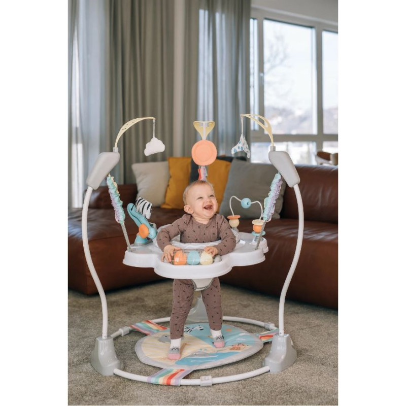 Ігровий центр для дитини FreeON Jumperoo