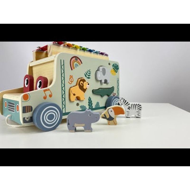 Дерев'яна вантажівка FreeON з ксилофоном multicolour
