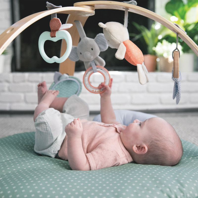 Розвиваючий килимок Ingenuity Cozy Spot