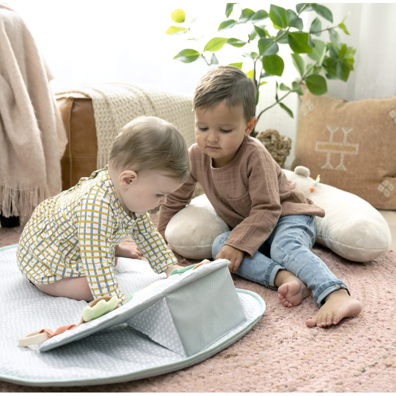 Розвиваючий килимок Ingenuity Sit Up & Prop. Cozy Prop