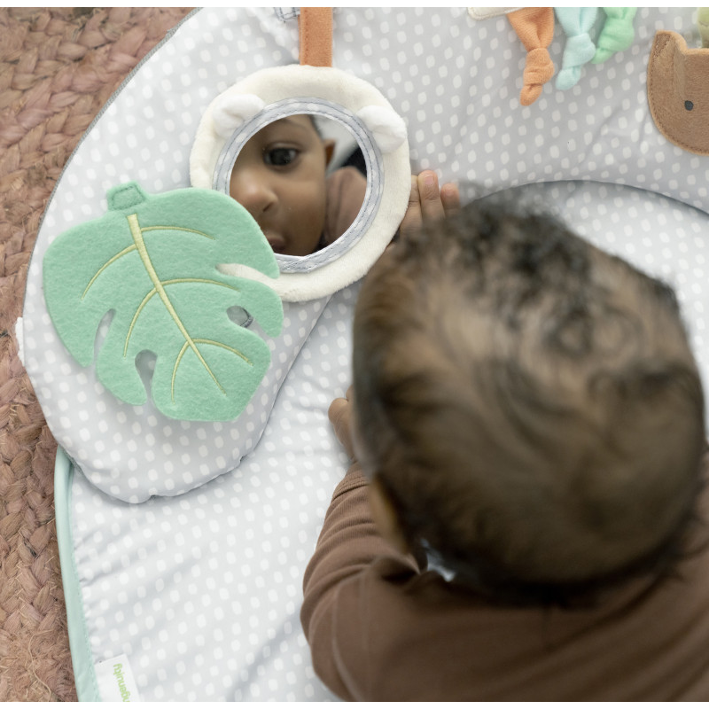 Розвиваючий килимок Ingenuity Sit Up & Prop. Cozy Prop