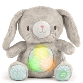 М'яка музична іграшка Ingenuity Heart to Hugs Sylvi