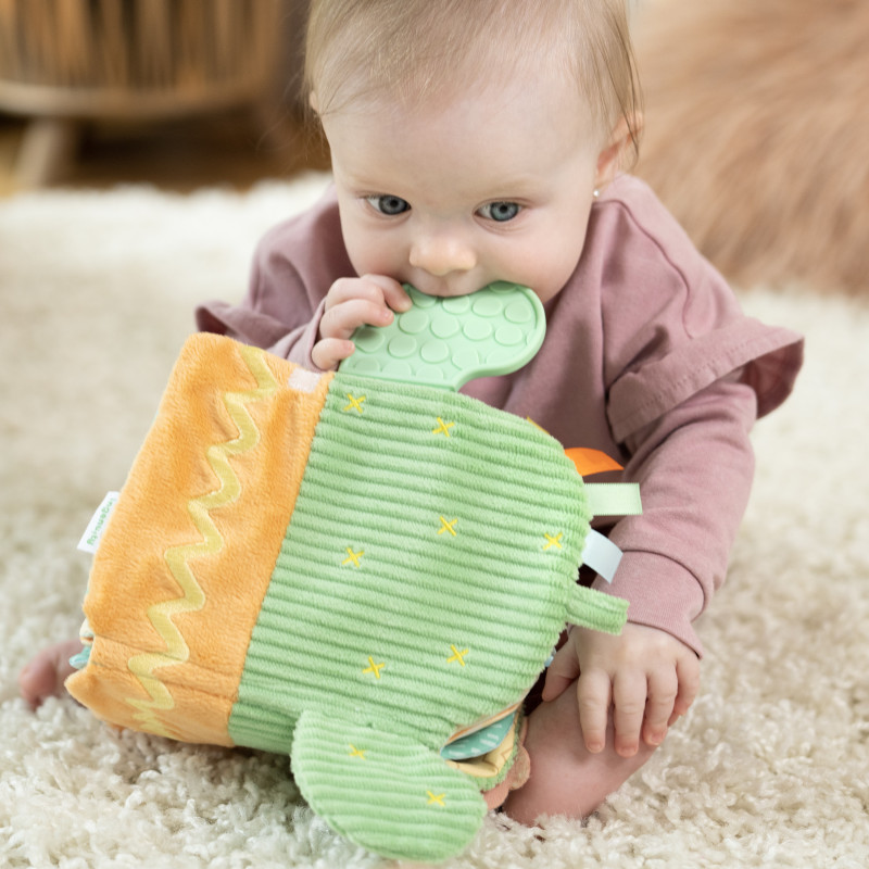 Розвиваюча м'яка книжка Ingenuity Calm Springs