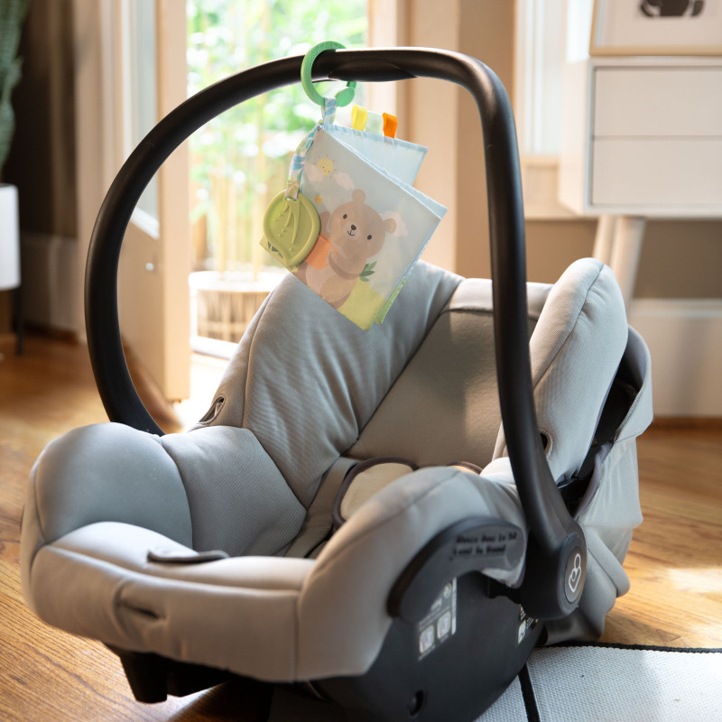 М'яка розвиваюча книжка Ingenuity Cozy Lovey – Nate