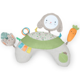 М'яка розвиваюча подушка Ingenuity Cozy Prop Sylvi