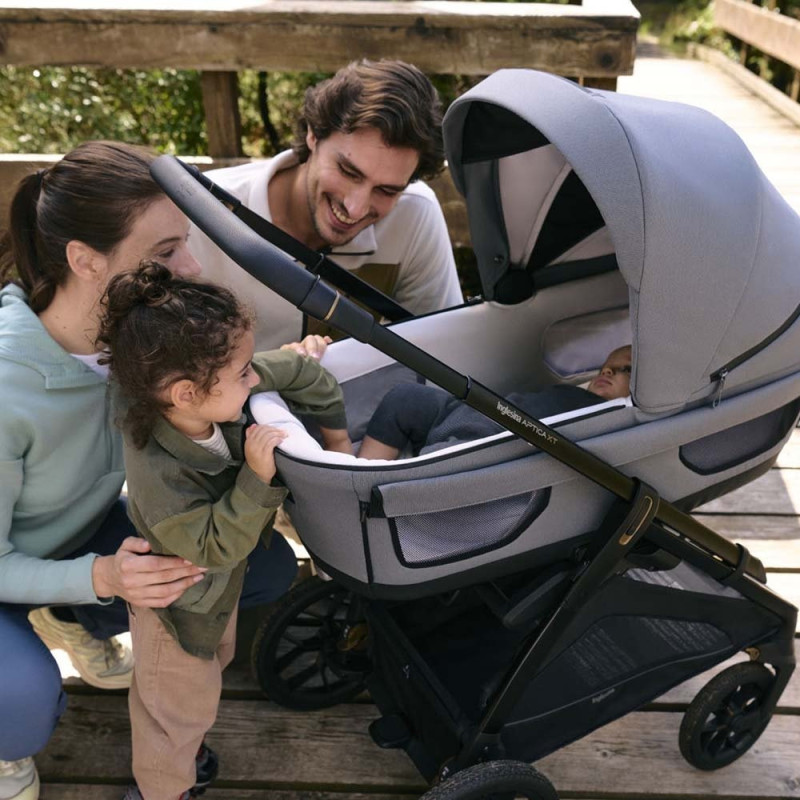 Люлька Inglesina Модульна система 4 в 1 Aptica XT Darwin Infant Recline Magnet Grey