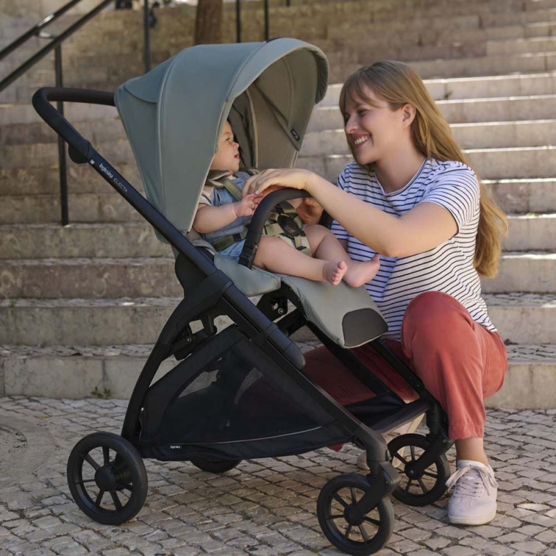 Шасі Inglesina Electa Iridio Black