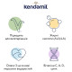 Органічна суха молочна суміш Kendamil Organic 1, 0-6 міс., 800 г