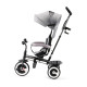 Триколісний велосипед Kinderkraft Aston Grey KKRASTOGRY0000