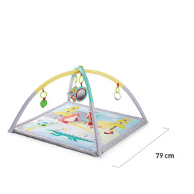 Розвиваючий килимок Kinderkraft Mily KKZMILY0000000
