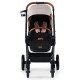 Універсальна коляска 2 в 1 Kinderkraft Evolution Cocoon Bird KKWEVCOBIR2000
