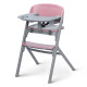 Стільчик для годування Kinderkraft Livy Aster Pink KHLIVY00PNK0000