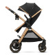 Універсальна коляска 3 в 1 Kinderkraft Esme Pure Black KSESME00BLK3000