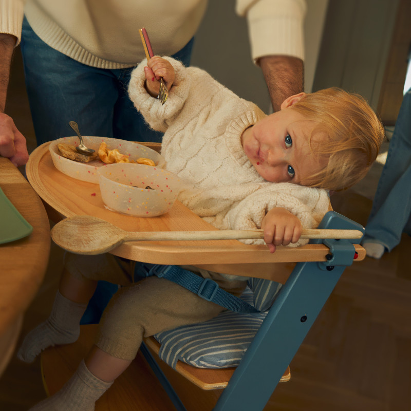 Стільчик для годування з подушкою Kinderkraft Enock Nordic Breeze KHENOC00NOR0000
