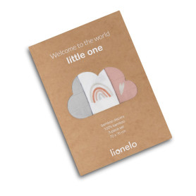 Набір Пелюшок Lionelo Rainbow Bamboo Box Multicolor