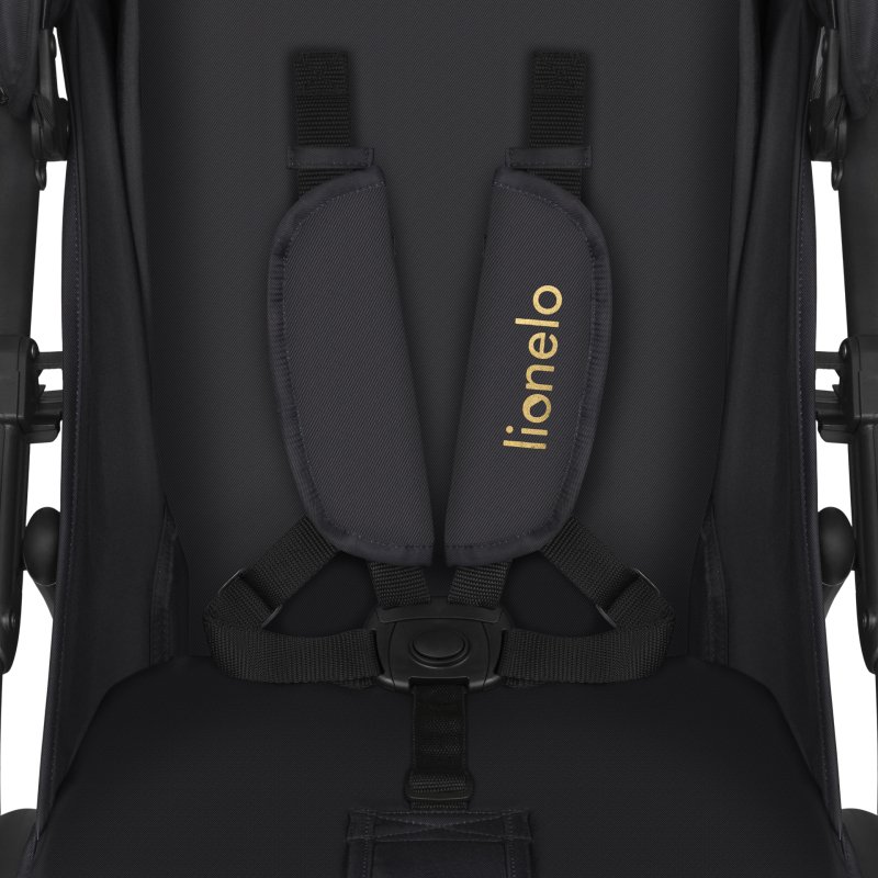 Прогулянкова коляска Lionelo Annet Plus Golden Moments