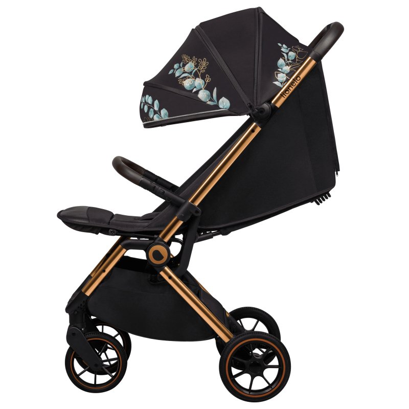 Прогулянкова коляска Lionelo Cloe Golden Moments