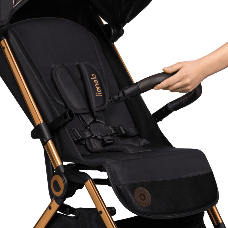 Прогулянкова коляска Lionelo Cloe Golden Moments