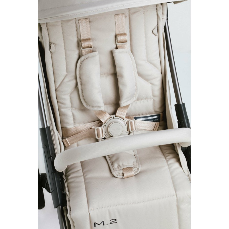 Прогулянкова коляска MAST SWISS M.2 NEW LION